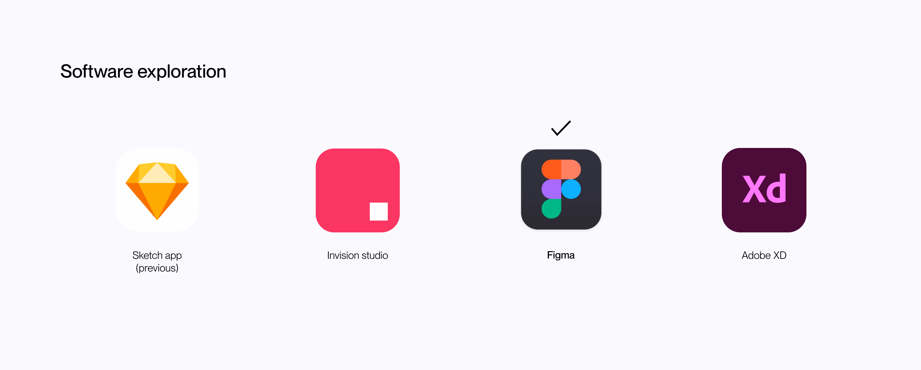 Software exploration